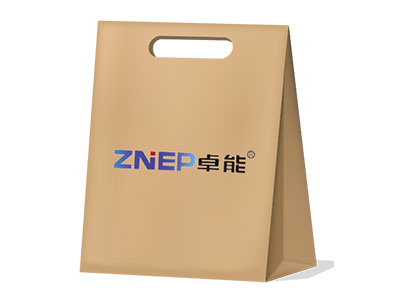 Die-Cut Handle Paper Bag