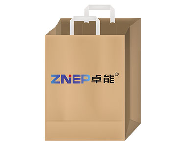 J-Cut Paper Bags with Twisted/ Flat Handles