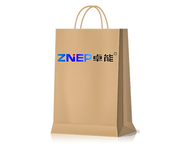 Paper Bag with Twisted Handles