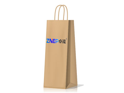 Paper Bag with Twisted Handles